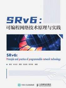 SRv6：可编程网络技术原理与实践