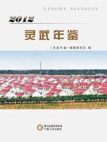 灵武年鉴．2012