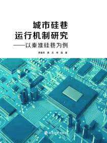 城市硅巷运行机制研究——以秦淮硅巷为例