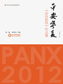 平安宁夏：《法治新报》作品集