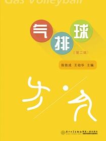 气排球