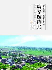 惠安堡镇志
