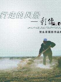 行走的风景：影像同心