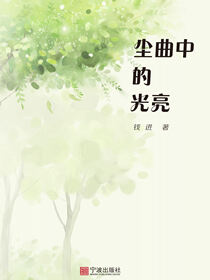 尘曲中的光亮