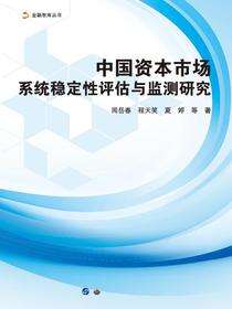 中国资本市场系统稳定性评估与监测研究