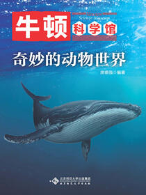 奇妙的动物世界