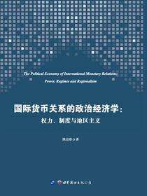 国际货币关系的政治经济学：权力、制度与地区主义