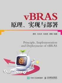 vBRAS原理、实现与部署