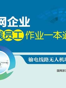 输电线路无人机现场巡检