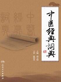 中医经典词典