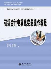 初级会计电算化实务操作教程