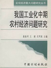 我国工业化中期农村经济问题研究