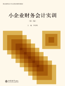 小企业财务会计实训