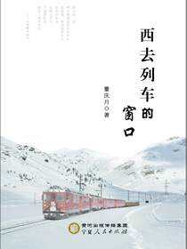 西去列车的窗口