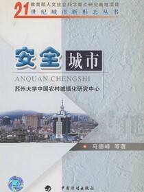 21世纪城市新形态丛书安全城市