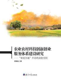 农业农村科技创新创业服务体系建设研究