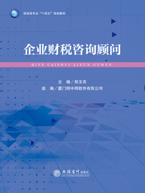 企业财税咨询顾问