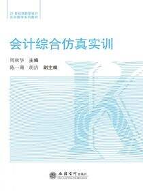 会计综合仿真实训