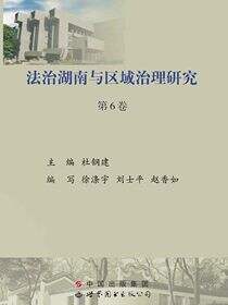 法治湖南与区域治理研究 第6卷