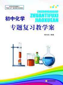 初中化学专题复习教学案
