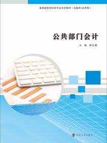 公共部门会计