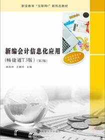 新编会计信息化应用：畅捷通T3版