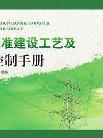 电网标准建设工艺及风险控制手册