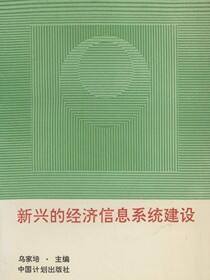 新兴的经济信息系统建设