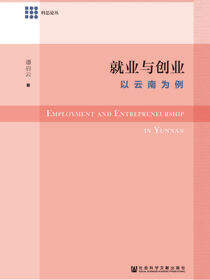 就业与创业：以云南为例