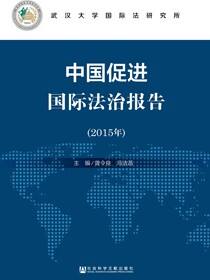 中国促进国际法治报告（2015年）