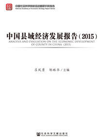 中国县域经济发展报告（2015）