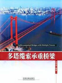 多塔缆索承重桥梁