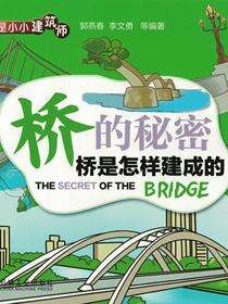 桥的秘密 桥是怎样建成的