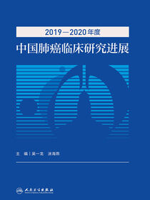 2019—2020年度中国肺癌临床研究进展