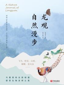 龙观自然漫步