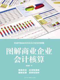 图解商业企业会计核算