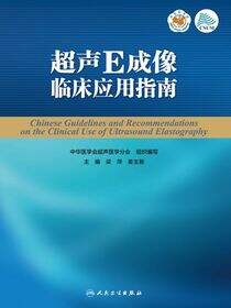 超声E成像临床应用指南