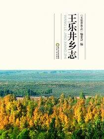 王乐井乡志