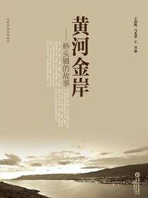 黄河金岸：桥头镇的故事