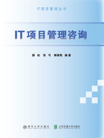 IT项目管理咨询