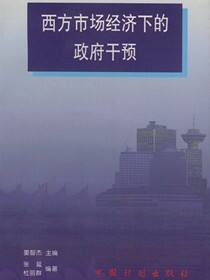 西方市场经济下的政府干预