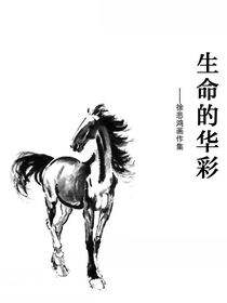 生命的华彩：徐悲鸿画作集