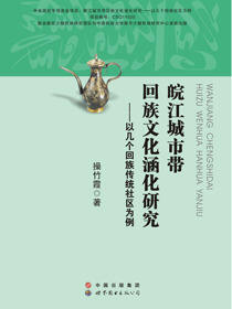 皖江城市带回族文化涵化研究