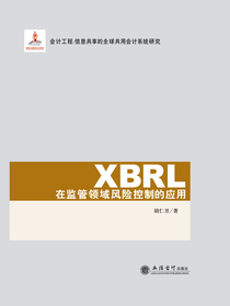 XBRL在监管领域风险控制的应用