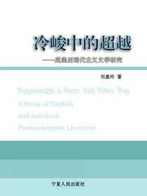 冷峻中的超越：英美后现代主义文学研究