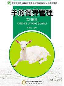 羊的饲养管理