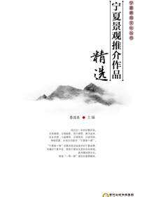 宁夏景观推介作品精选