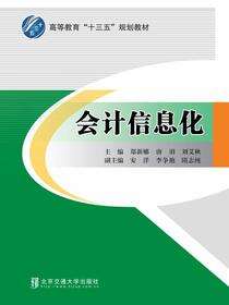 会计信息化