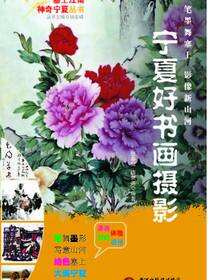 宁夏好书画摄影