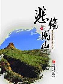 悲伤关山